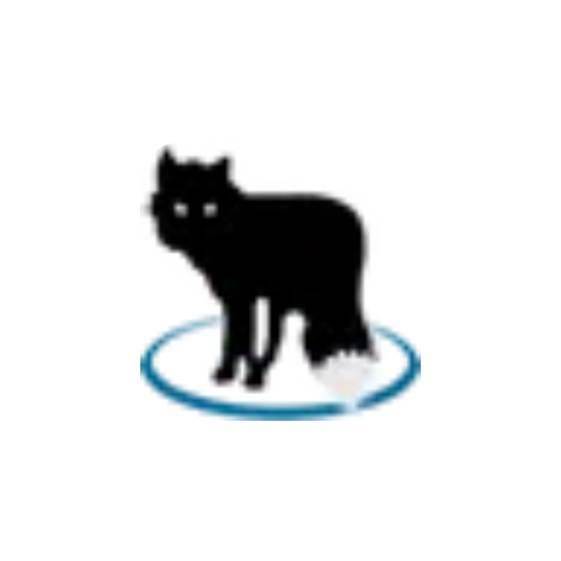 MetaFox v2.5.9 便携版 - 视频转换 - 蚂蚁分享网