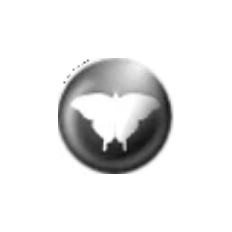 Qmmp v2.2.5 多语便携版 - 音乐播放器 - 蚂蚁分享网